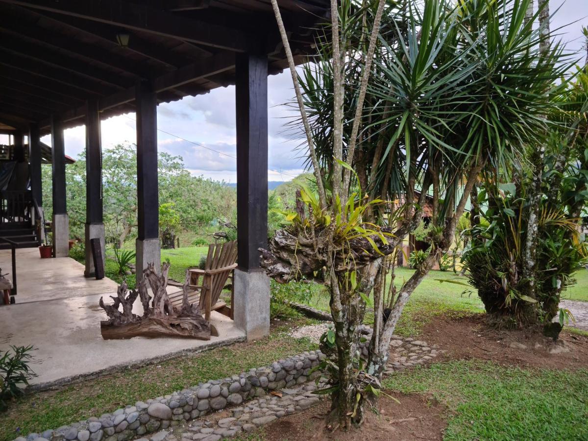Lodge Gallitos Eco *